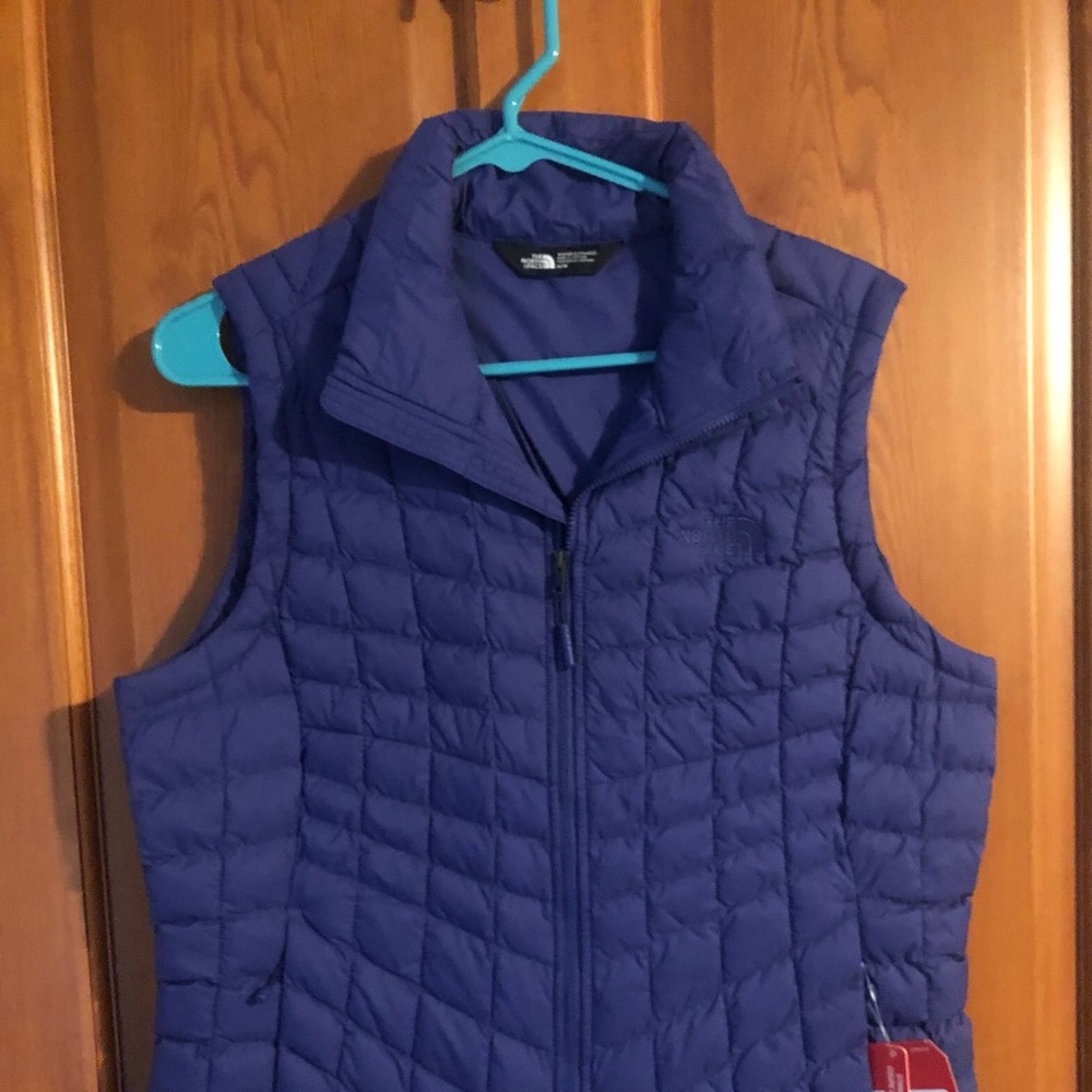 The north face vest